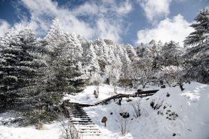 Jiaozi Snow Mountain, Kunming