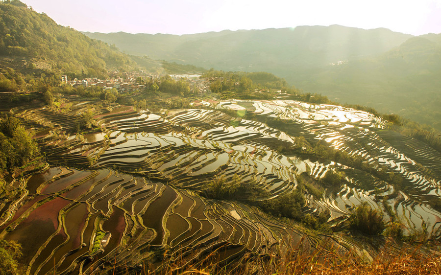 Laoyingzui Rice Terraces in Yuanyang County, Honghe