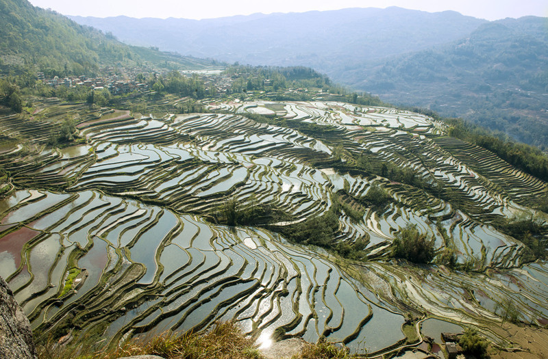 Laoyingzui Rice Terraces in Yuanyang County, Honghe