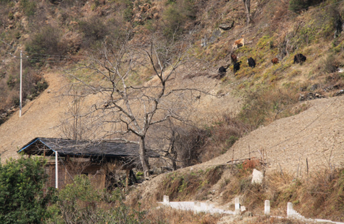 Nidadang Village in Bingzhongluo, Nujiang