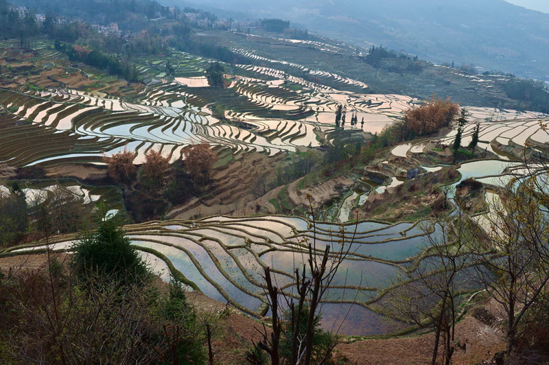 Quanfuzhuang Rice Terraces in Yuanyang County, Honghe