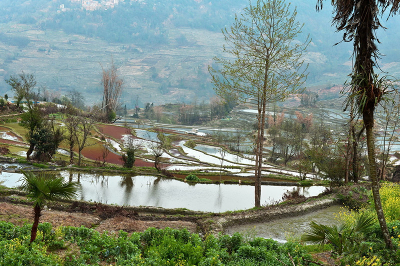 Quanfuzhuang Rice Terraces in Yuanyang County, Honghe
