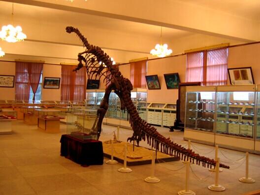 Technology Geology Museum in Kunming University of Science-02