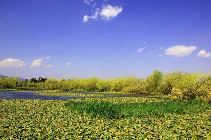 Wujiatang Wetland Park in Kunming-04