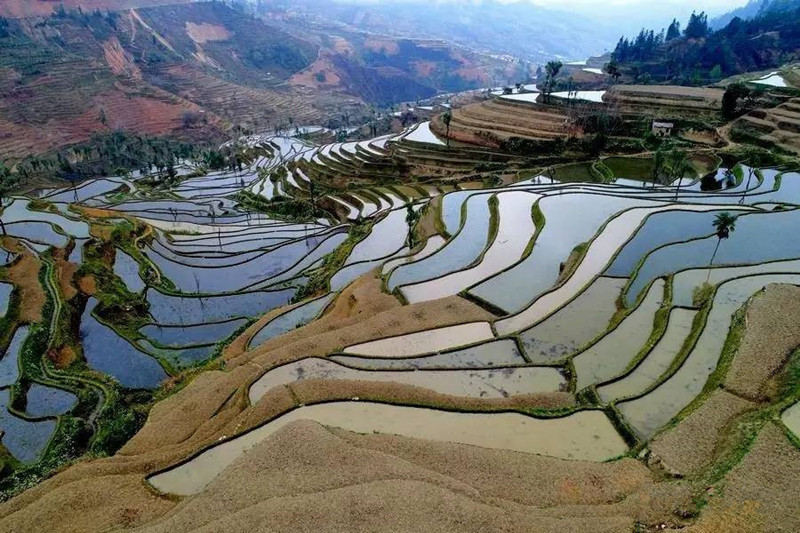 Yangliu Rice Terraces in Honghe County, Honghe