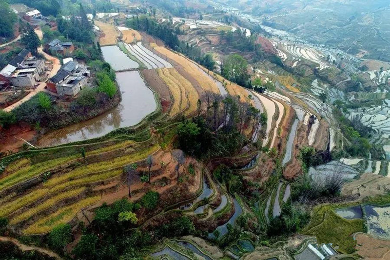Yangliu Rice Terraces in Honghe County, Honghe