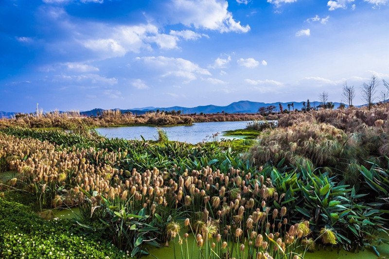 Yilong Lake and Lotus Garden in Shiping County, Honghe
