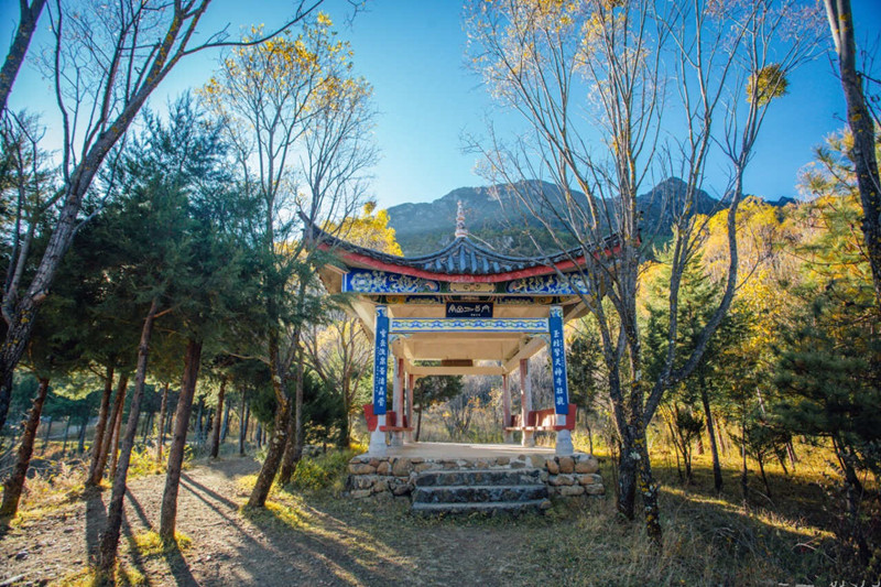Yuzhu Qingtian Scenic Area in Lijiang