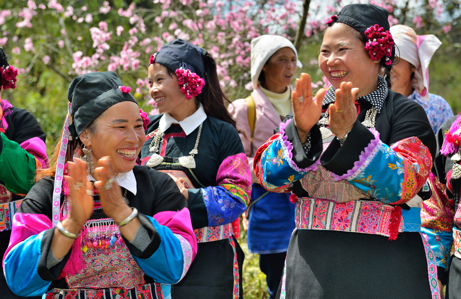 Ten-thousand Mu Pear Blossoms Garden in Baxin Yi Ethnic Town of Wenshan City