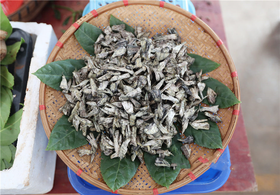 Wild Mushroom in Yunnan