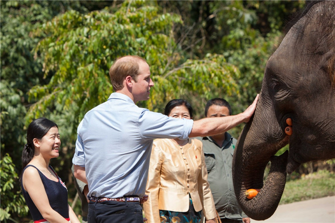 Prince William, Britain's Duke of Cambridge, visited the Asian Elephant Breeding and Rescue Center in 2015