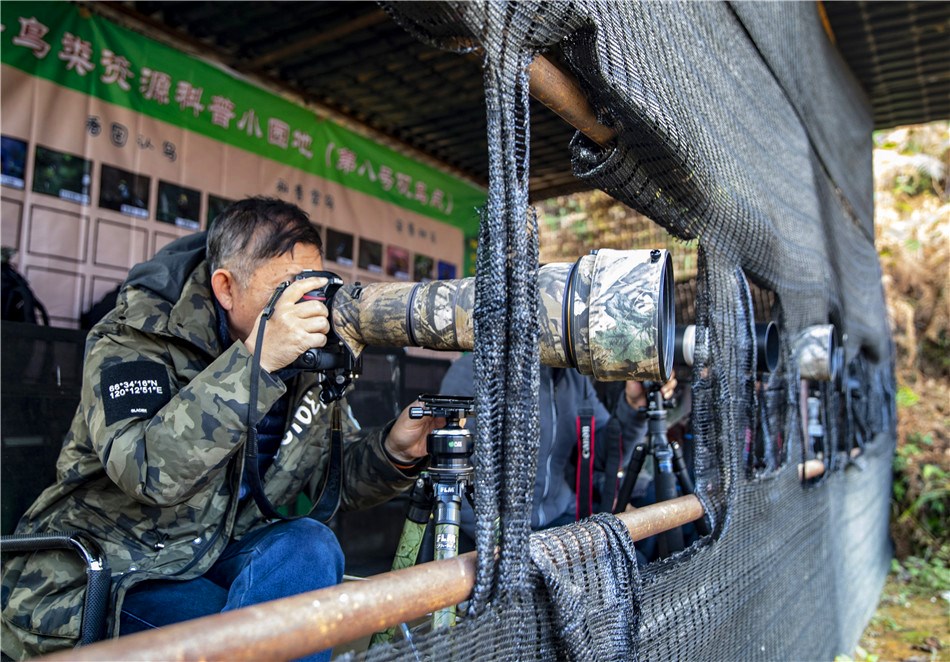 Wildlife photographers shoot birds at a birdwatching spot in Sanhe village of Lushui, Nujiang