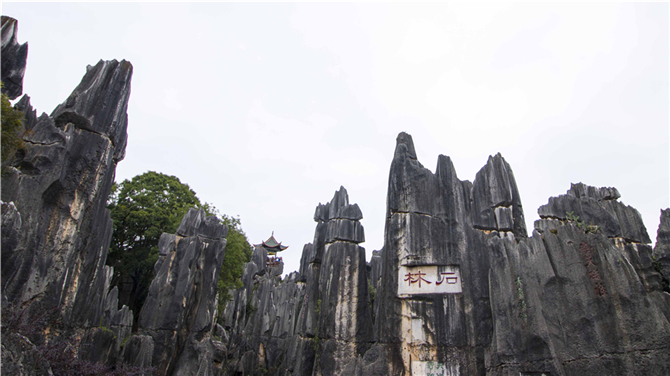 Stone Forest (Shilin) scenic spot in southwest China's Yunnan Province