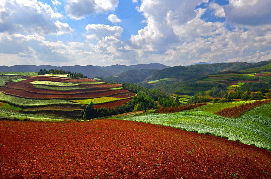 Dongchuan Red Land in Kunming