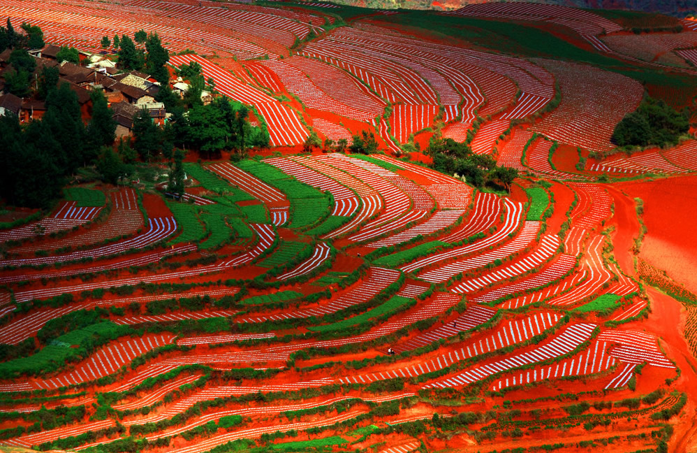 Dongchuan Red Land,Kunming