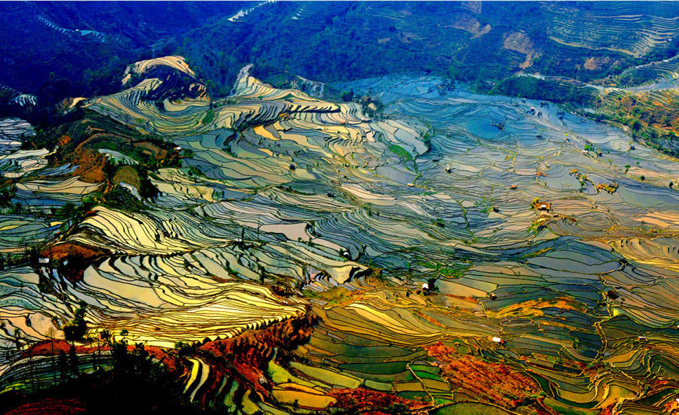 yuanyang-rice-terraces-honghe-01