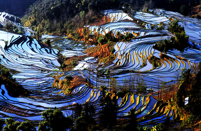 yuanyang-rice-terraces-honghe-05