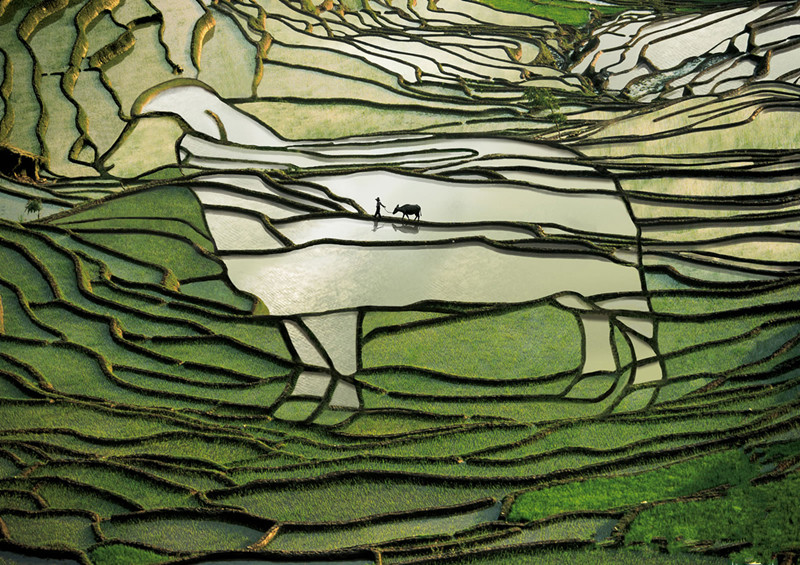 yuanyang-rice-terraces-honghe-08