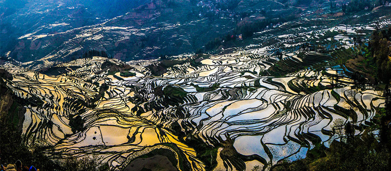 yuanyang-rice-terraces-honghe-15