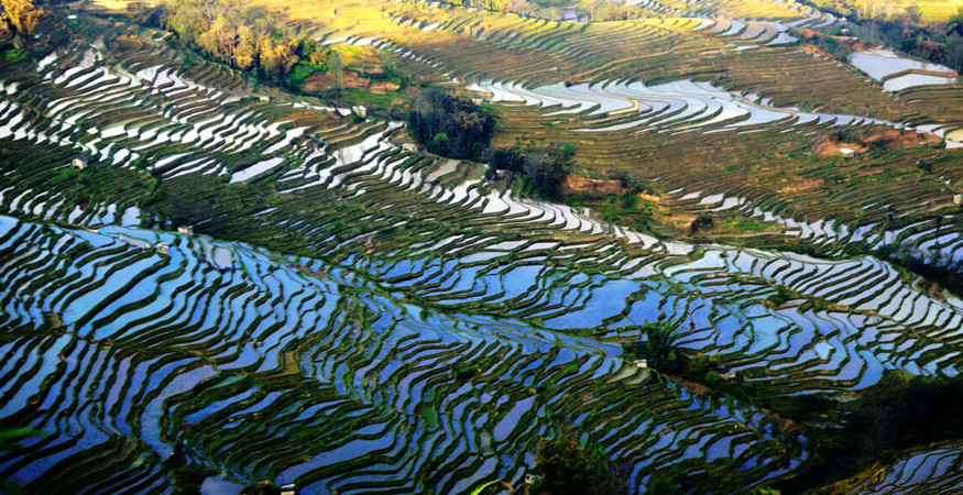 yuanyang-rice-terraces-honghe-16