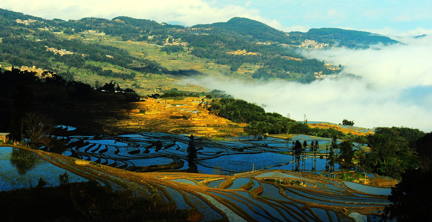 yuanyang-rice-terraces-honghe-26