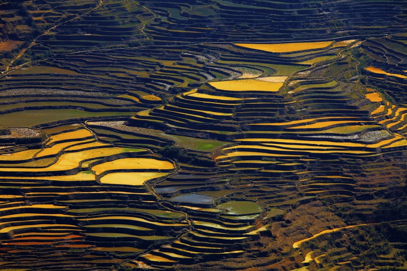 yuanyang-rice-terraces-honghe-30
