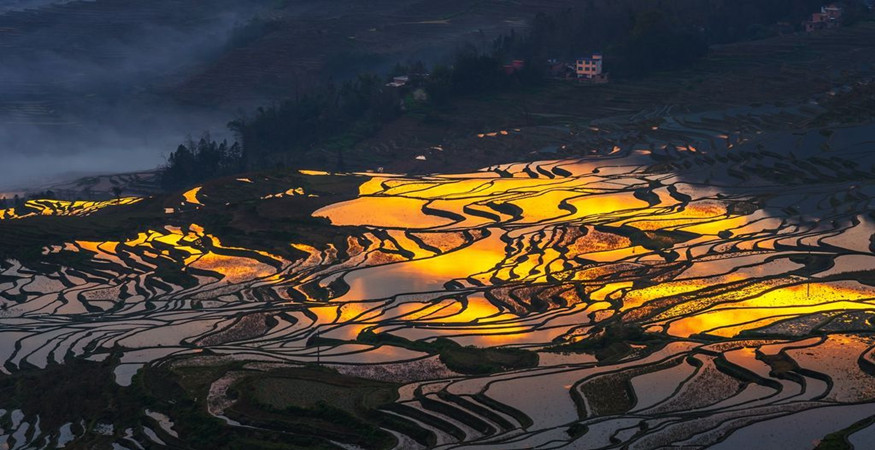 yuanyang-rice-terraces-honghe-37