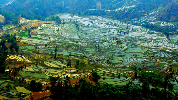 yuanyang-rice-terraces12