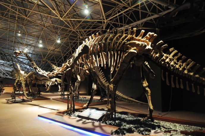 Lufeng Dinosaur Museum, Chuxiong
