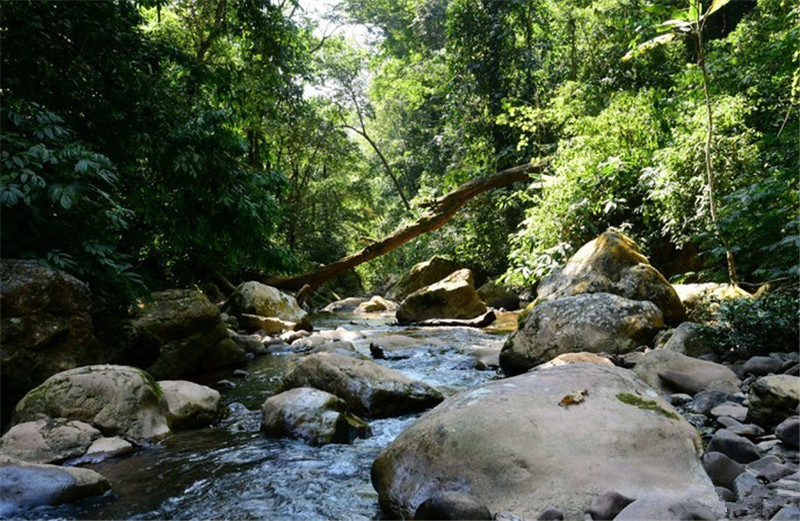 Xishuangbanna Mengyuan Fairyland Cave Travel: Entrance Tickets, Travel 