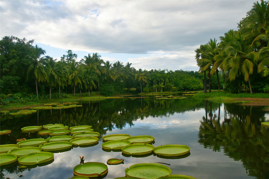 XishuangBanna Menglun Tropical Botanical Garden-12