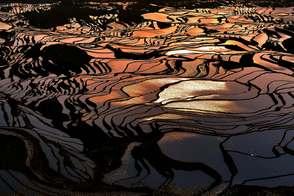 Yuanyang Hani Rice Terraces